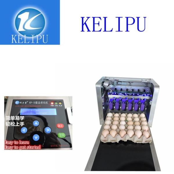 Electronic Intelligent 12 V Egg Printer Machine With One Year Warranty Time