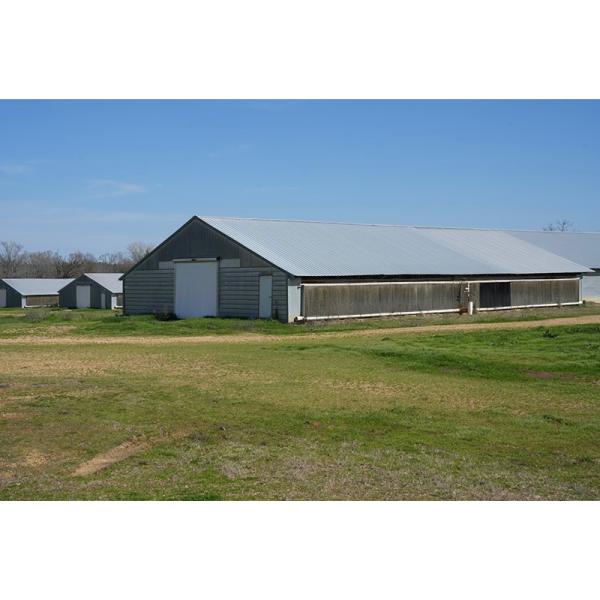 Commercial Steel Structure Prefab Chicken Broiler Poultry Farm Building