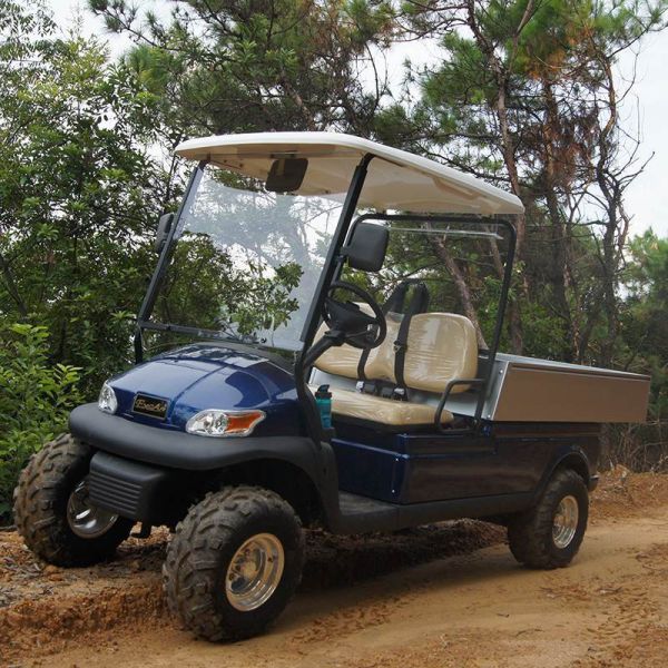 Blue Electric Utility Carts Built with High Frequency 48v 3.7kwRegulators and Curtis Controllers for Smooth Driving Experience