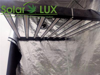 espectro completo a erva 650Watts conduzida cresce a luz