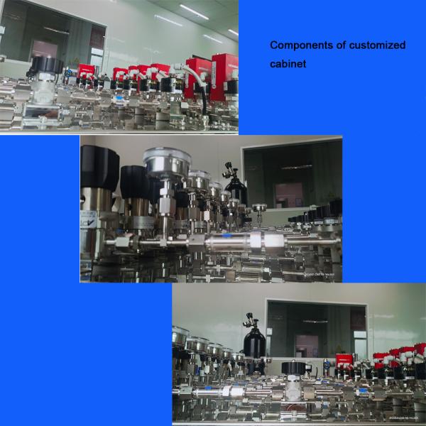 Nitrogen Helium Propane Gas Pressure Reducing Valve Stainless Steel High Pressure Dual Stage