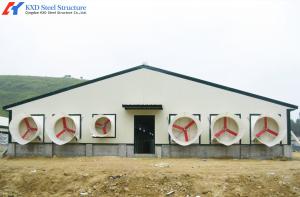 Steel Structure Poultry Shed Agricultural Farm Broiler Chicken Farm Environment