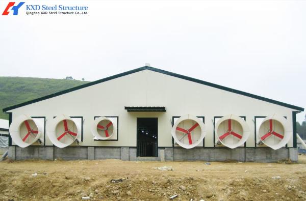 Commercial Poultry House Steel Structure with Feeding and Drinking Systems
