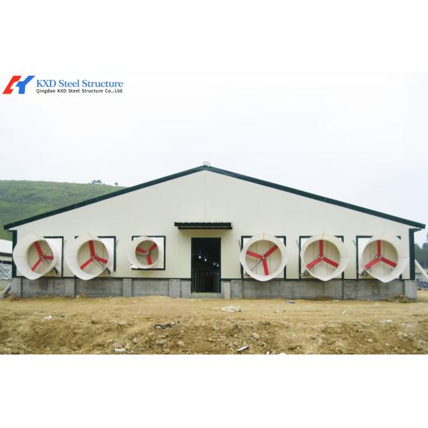 Broiler Poultry Prefab Houses Steel Structure Fully Automated Chicken Farming Equipment
