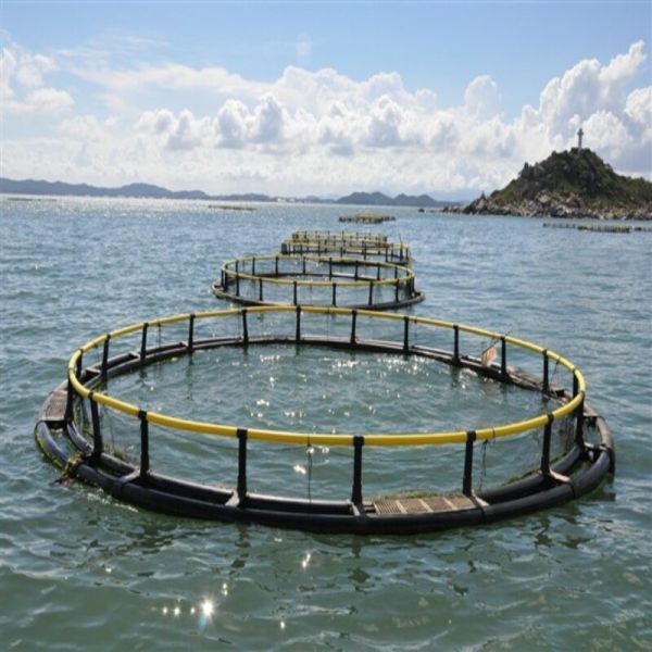 Anti-fouling & Anti-corrosion Round Fish Cage | Resists Algae for Low Maintenance