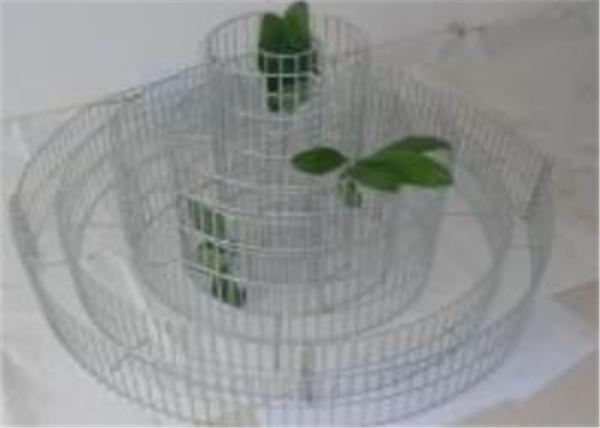 Welded Gabion Raised Garden Beds in Spiral /  Triple Rings for Flowers Vegetables