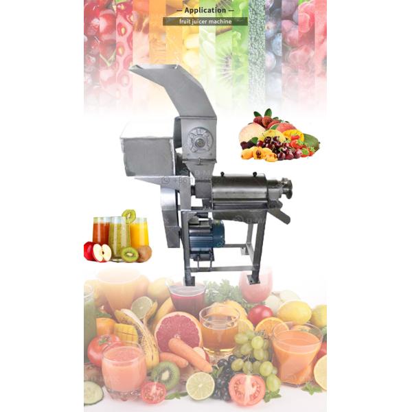 380V Fruit Stainless Steel Juice Extraction Machine / Industrial Cold Press Juicer