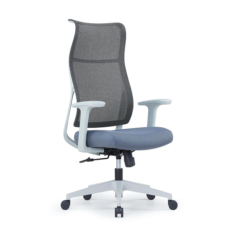 Ergonomic Mesh Office Chair with Reclining Backrest Fixed Lumbar Support and Five Star Base