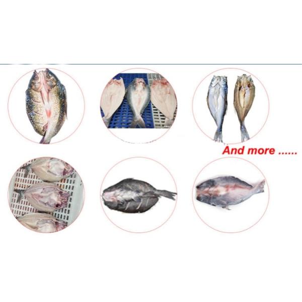Automatic Fish Processing Machine Cod Hook Fish Trout Salmon Catfish Tilapia Smoked Sashimi Slicer