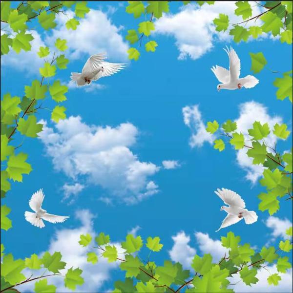 Non Magnetic Led Panel Light Decoration Blue Sky MRI Soft Film Ceiling Led Lights For Mri Room