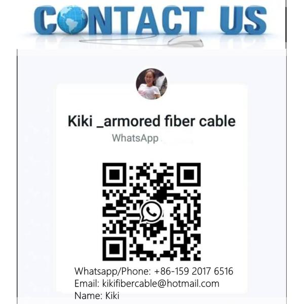 Stainless Steel OM3 OM4 Armored Fiber 6 Core G652D PVC LSZH