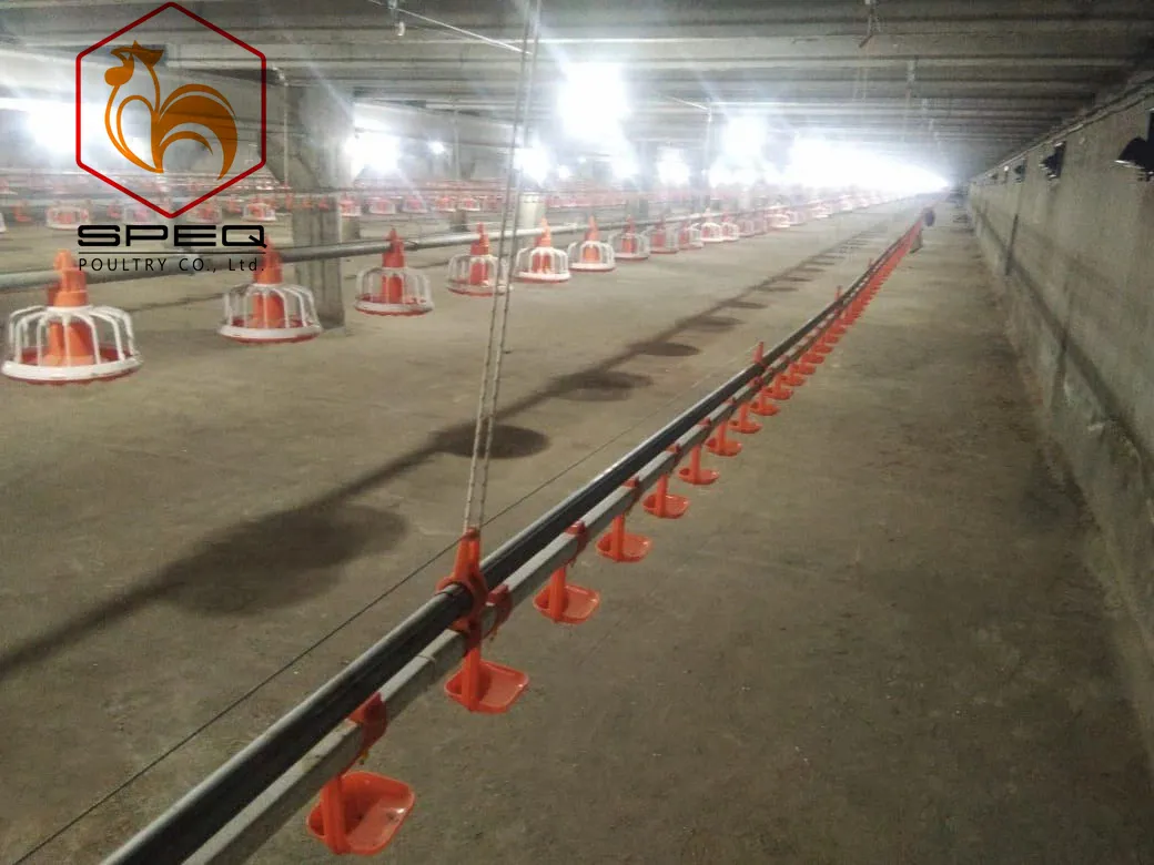 Quick Cleaning Automatic Pan Feeding System For Broiler Poultry Farms