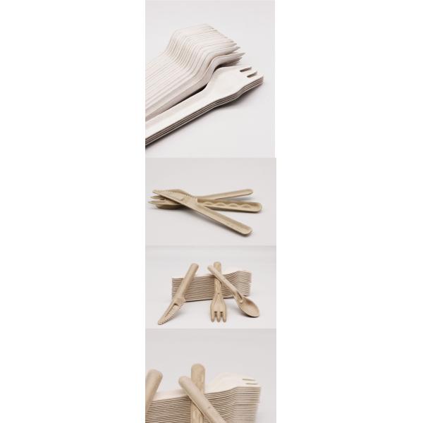 Biodegradable Bagasse Eco Friendly Disposable Cutlery 141.7mm Compostable Forks And Spoons