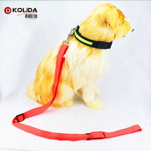 LED Lighted Nylon Fabric Safety Pet Dog Leash With Bright Shining Light