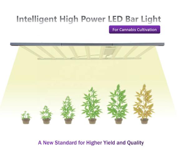 Hydroponic Red UV 1000W LED Grow Lights Lm301h Lm301b For Plants