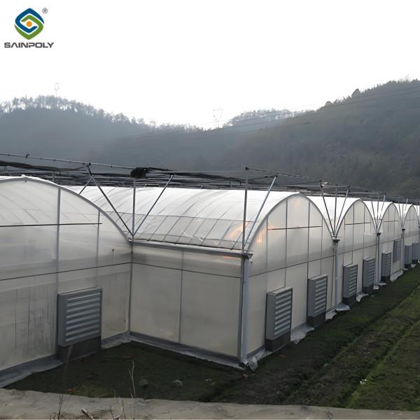 Polycarbonate couvrant la serre à longue portée pour la culture de tomates Serre CE