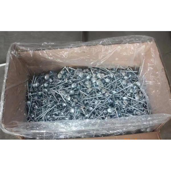 Противокоррозионные гвозди Galv Clout Electro Galvanized