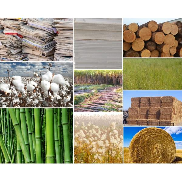 бумажная прессформа 153KW утилизации отходов машины подноса яйца 2500pcs/H