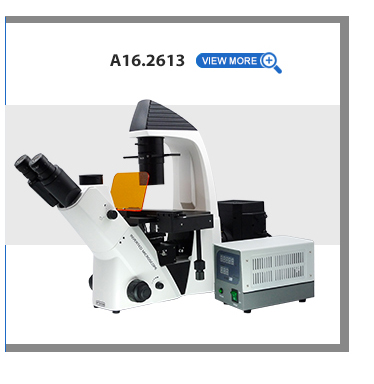 Trinocular Phase Contrast Inverted Optical Microscope OPTO-EDU A14.2603