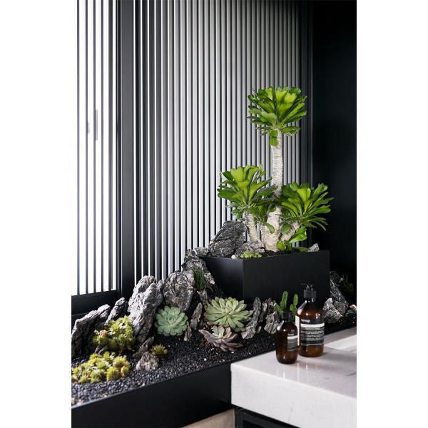 Anti Aging Artificial Succulent Plant  Interior Landscape Set Pieces Potted