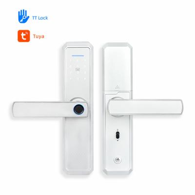 Mirror Panel Fingerprint Smart Door Locks 6V Passcode House Lock