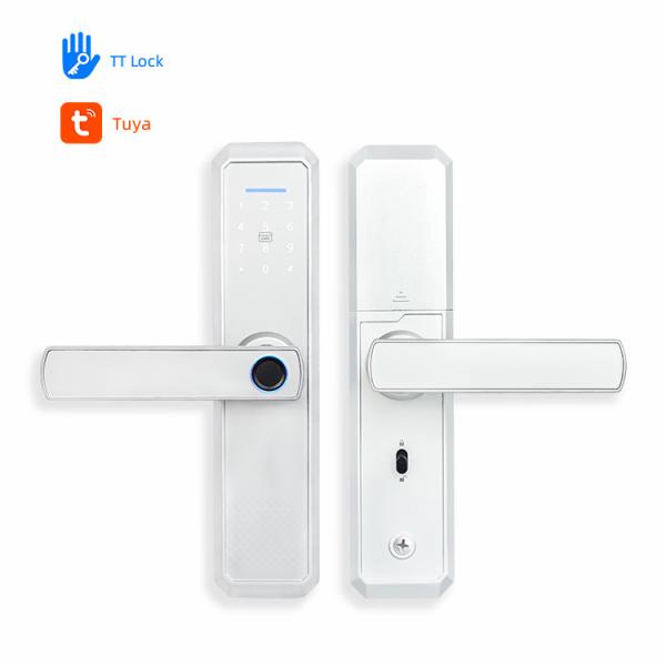 Mirror Panel Fingerprint Smart Door Locks 6V Passcode House Lock