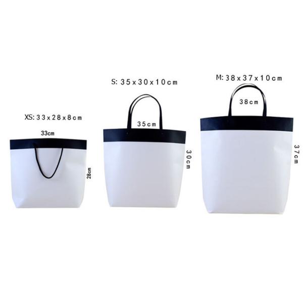 Custom Logo paper shopping bag SR-P-004 hotsell