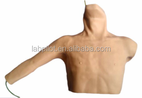 Advanced PICC Simulator and Peripheral Venous Puncture Teaching Model for Human Size