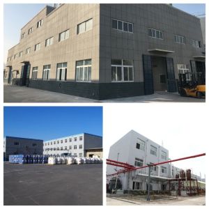 Shandong Jiuchong Chemical Co., Ltd.