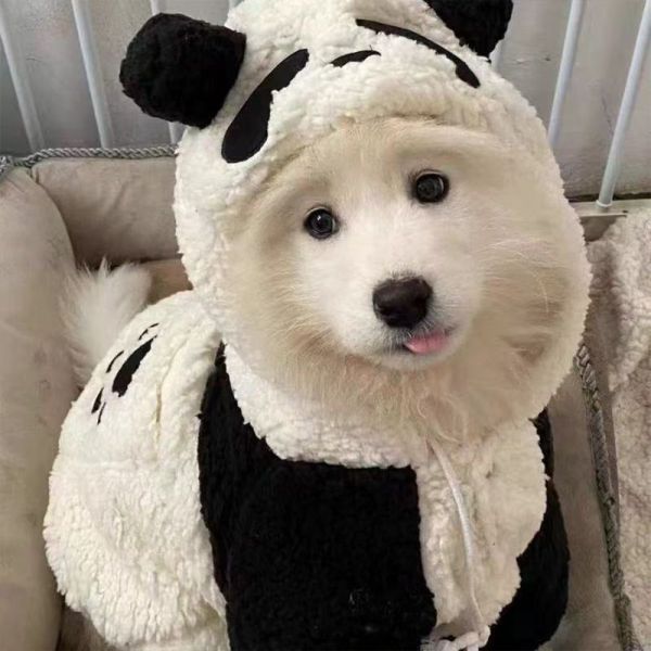 Border Collie Dog Clothing Panda Model Large Sized Dog Labrador Retriever Winter Samoyed Pet Clothing Pet Faux Lamb Fur Dog Coat