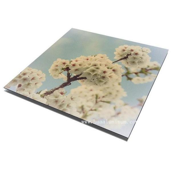 UV Resistant Signage Aluminum Composite Panel , 2000mm ACM Sign Board