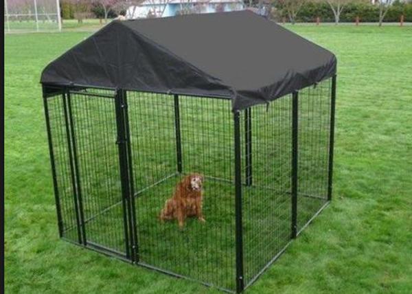 Low Carbon Steel Wire Chain Link Dog Kennel / Outdoor Dog Enclosures