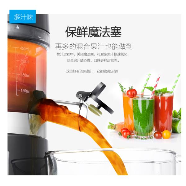 Stainless Steel Screw Extracteur de jus 360 degree strainer assembly wide mouth slow juicer GK-SS01