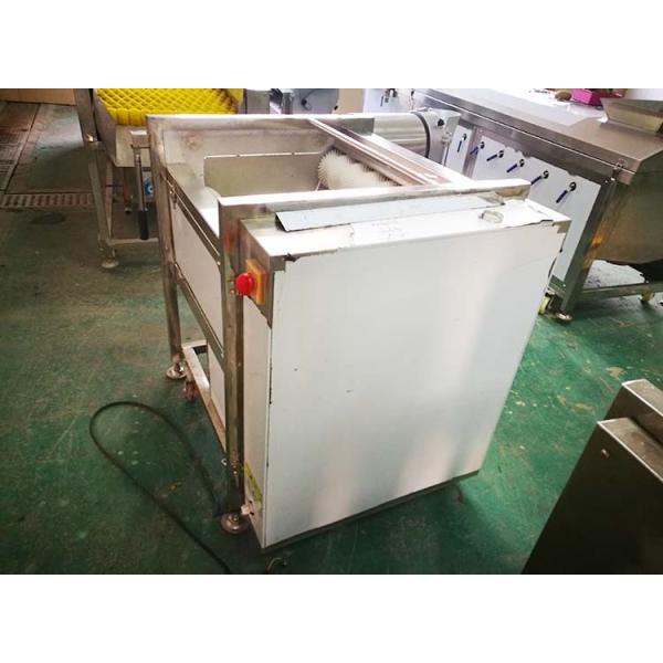 automatic commercial carrot/ginger/potato/fish/Hawthorn washing and polishing machine