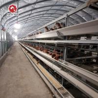 Le type poulet de H de couche mettent en cage la ferme de poulet galvanisée plongée chaude