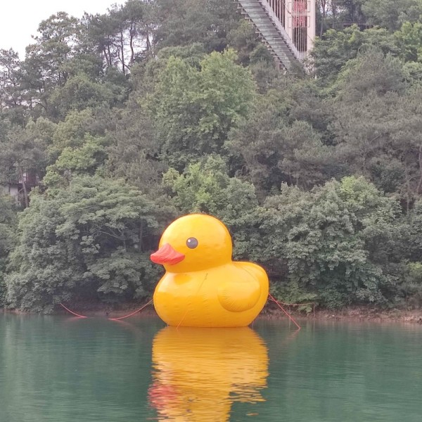 Fireproof UV Resistance PVC Custom Giant Inflatable Duck Cartoon for Events Advertising Inflatable Advertising Cartoon