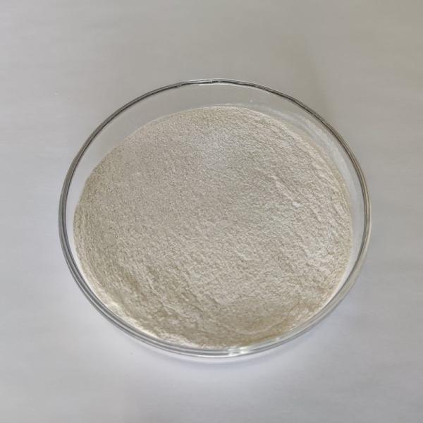 Hydrolyse de l'amidon, amylase fongique de qualité alimentaire, α - amylase