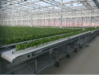 Easy Installation Customized Agricultural Greenhouses With LED Lighting