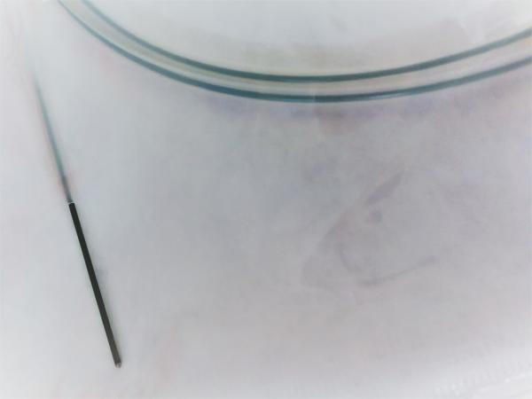 Sterile Double J Catheter , Urology Stent Placement With Unique Tip Construction