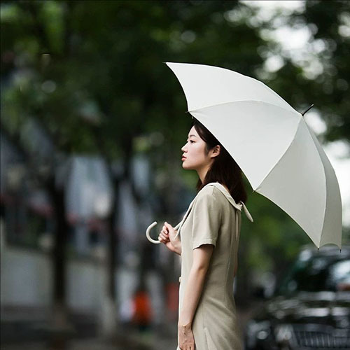 Classic Elegance Walking Umbrellas Automatic Women's Straight Umbrella