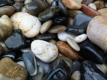 5 - 25kg/H Coal Ball Package Machine Bags Packing Equipment 4KW