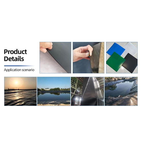Chinese Geomembrane Impermeable Fish Pond Shrimp Pond Cistern Waterproof Membrane