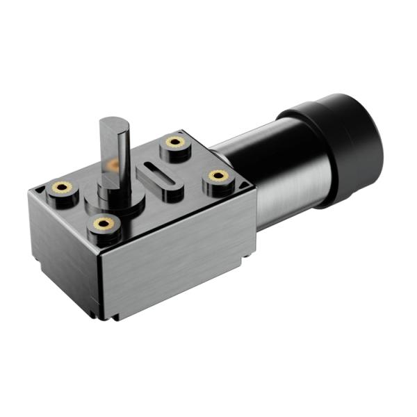 65% Efficiency Electric Dc Motor High Torque 24V Worm Gear Motor with Reduction Gear Brake