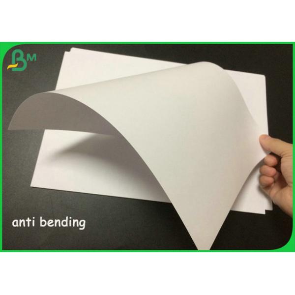 Eco - rollo de papel amistoso 140gram de la impresión en offset para la bolsa de papel