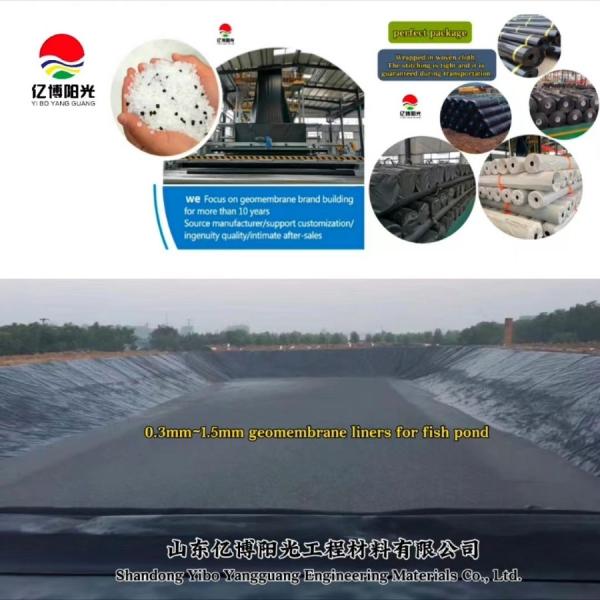 1m-8m Width HDPE Geomembrane Fish Pond Liners for Aquaculture and Landfill Applications