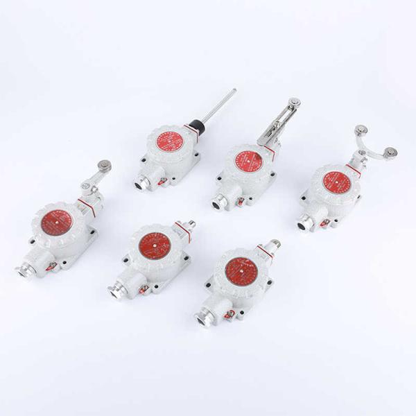 Explosion Proof Limit Switch WF2 Aluminum Alloy Exd Safety Switch