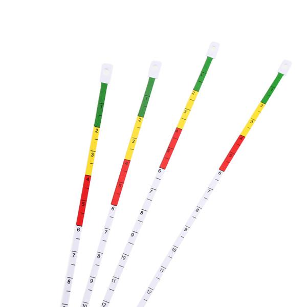 Le double étroit de largeur de mi de bras de pp bande en plastique de circonférence a dégrossi avec des trous de poinçon