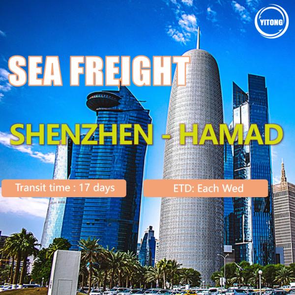 China Shenzhen To Hamad Qatar International Cargo Logistics 17 Days