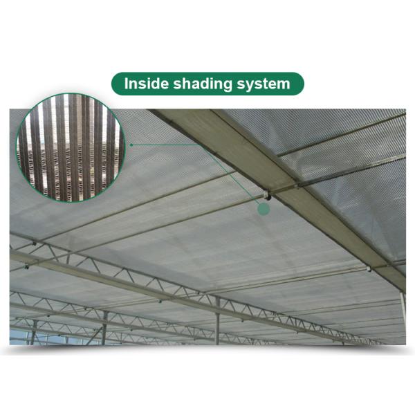 Многопролетная пленка Китайские теплицы Сельскохозяйственная гидропонная система и система охлаждения