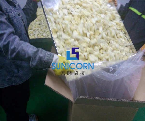 High Efficiency Industrial Lyophilizer , Industrial Fruit Dryer Machine Easy Operation